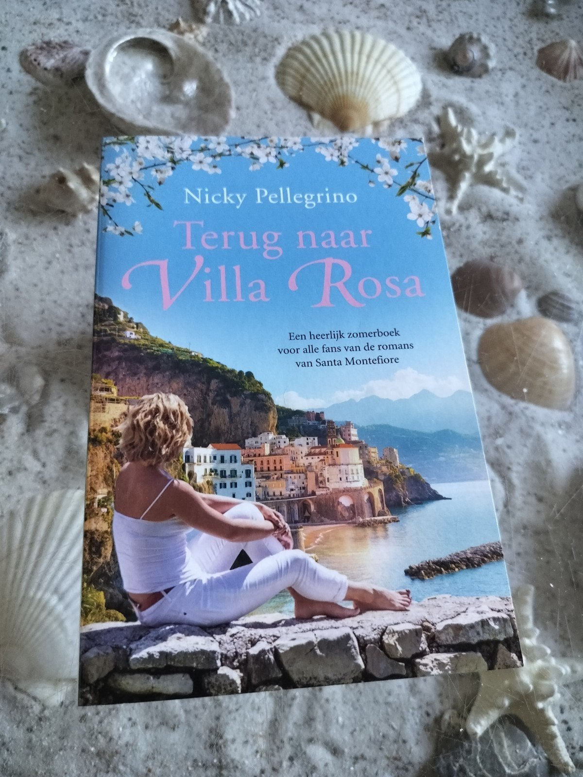 Nicky Pellegrino - Terug naar Pellegrino, Boeken, Ophalen of Verzenden, Gelezen, Nicky Pellegrino