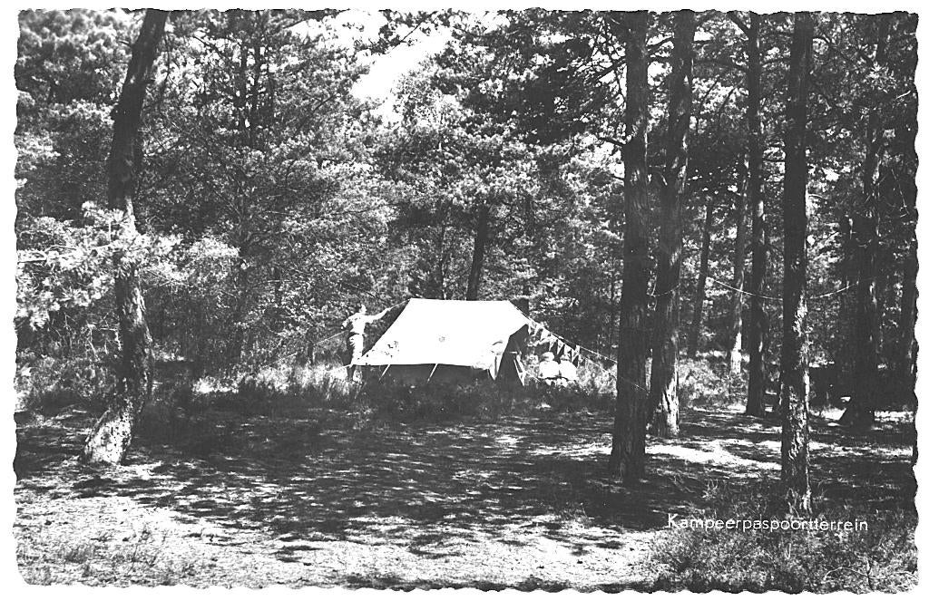 967365 Oisterwijk N Br1962 Camping De Reebok tent, Ophalen of Verzenden, 1960 tot 1980, Gelopen, Noord-Brabant