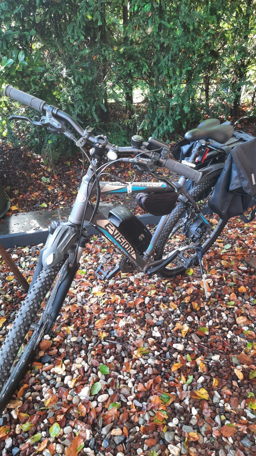E-Vision Cross-Country Edition E-bike, Gebruikt, 51 tot 55 cm, 30 tot 50 km per accu, Ophalen