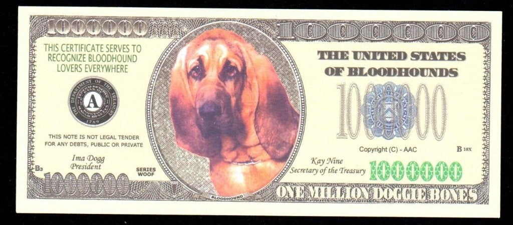 Curiosa Biljet USA - HONDEN - BLOODHOUNDS., Ophalen of Verzenden, Noord-Amerika, Los biljet