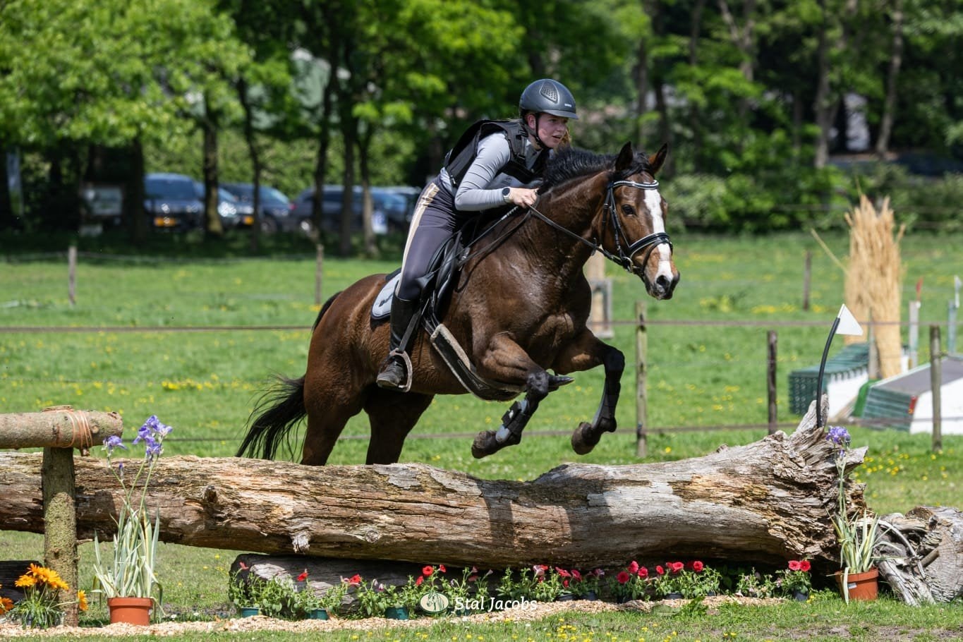 super leuke, mooie, eerlijke 9 jarige e-pony (merrie), Dieren en Toebehoren, Merrie, B, E pony (1.48m - 1.57m), 7 tot 10 jaar