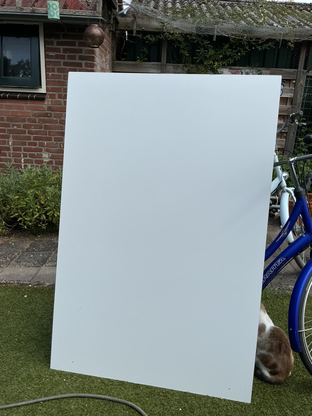 Dibond plaat, maat 100 x 150 cm, 2 mm dik, Ophalen, Gebruikt, Overige materialen, Minder dan 20 mm