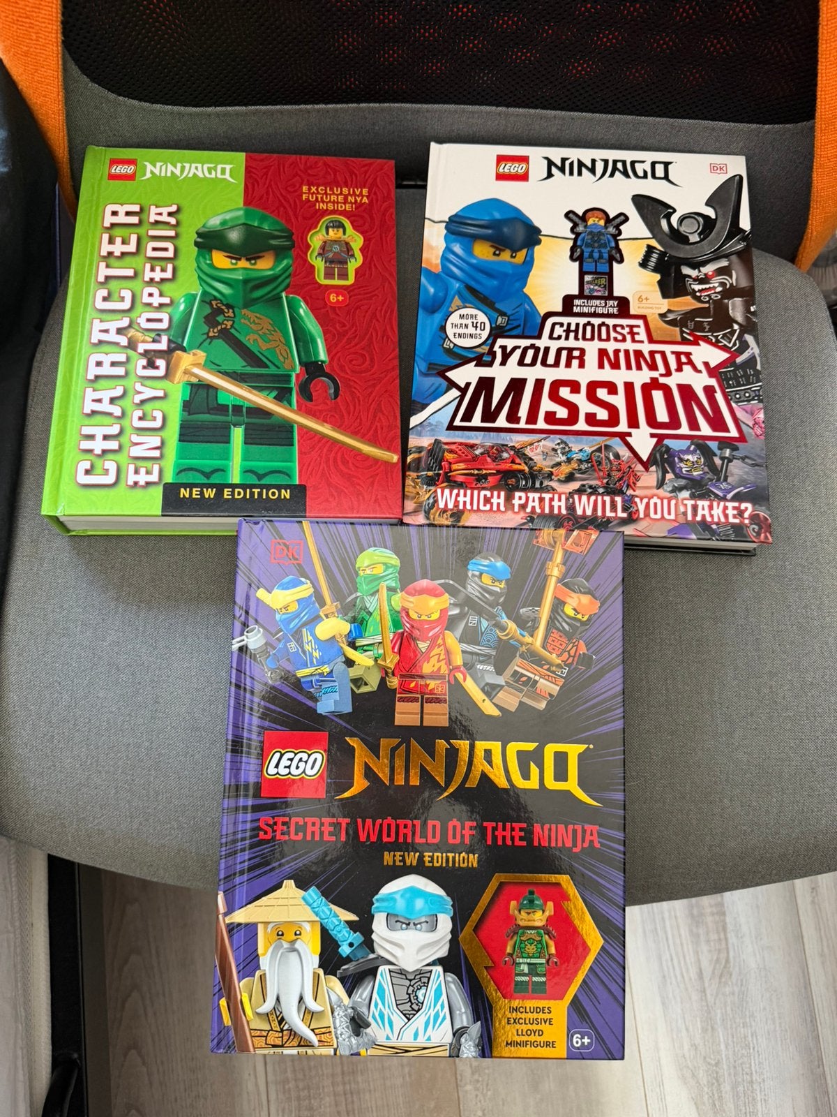 Lego ninjago boeken (zonder minifiguren), Ophalen of Verzenden, Zo goed als nieuw