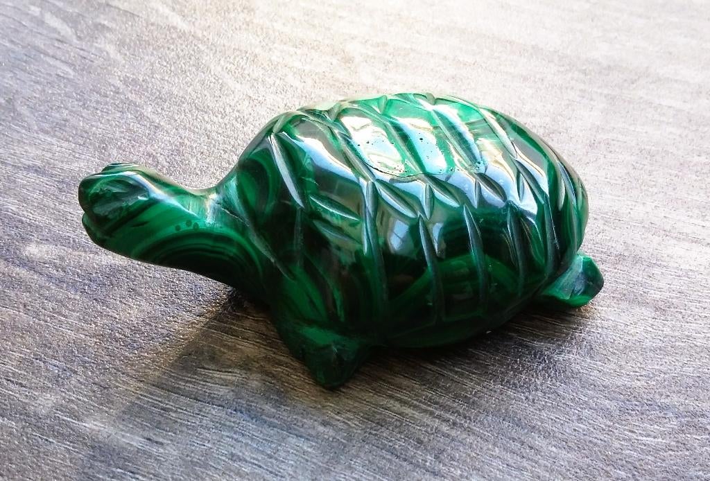 Grote gepolijste Malachiet Kopererts Schildpad Congo Afrika