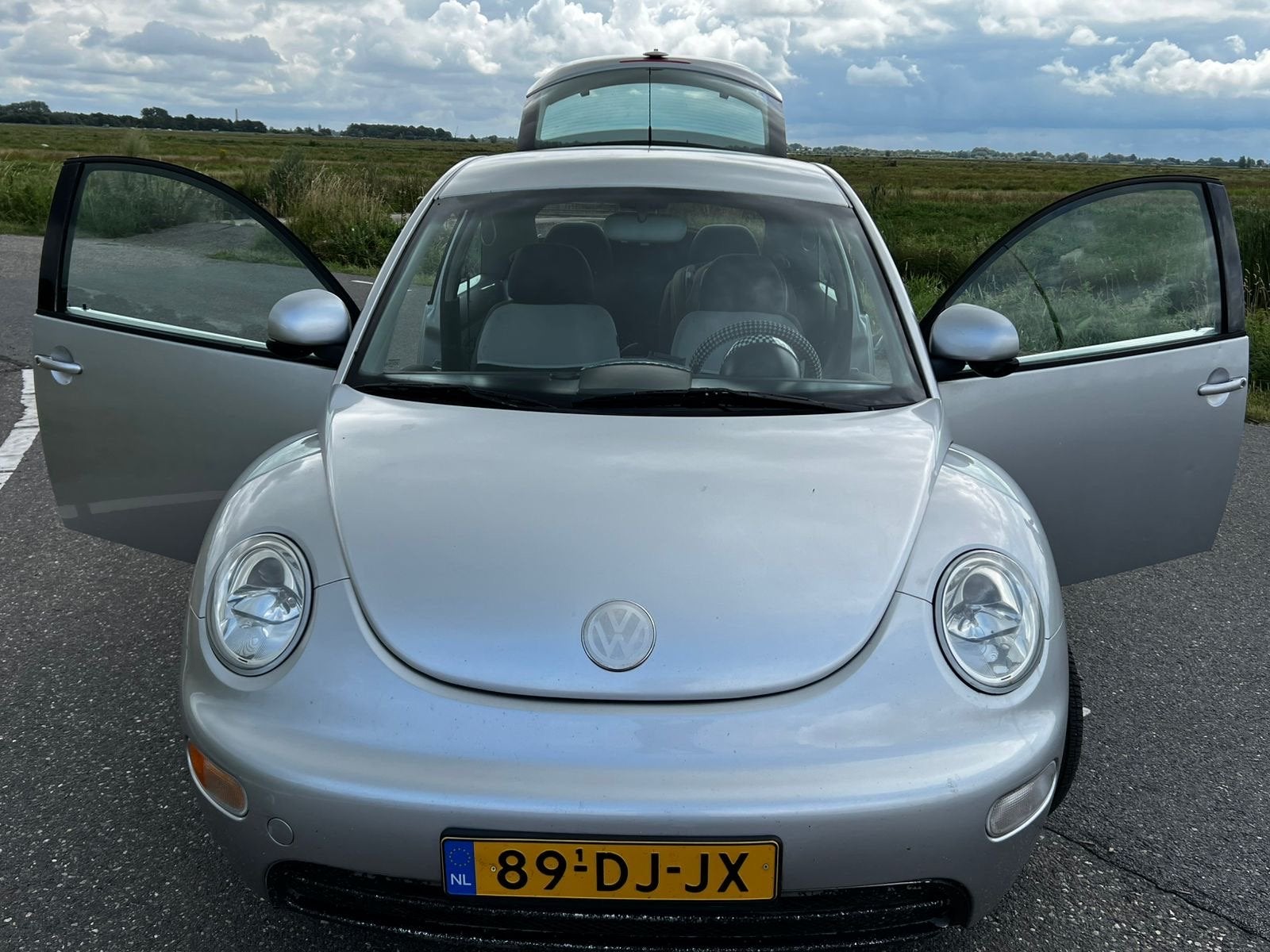 Volkswagen Beetle (Kever) 2.0 85KW AUT 1999 Grijs, Auto's, Volkswagen, 1227 kg, Beetle (Kever), 4 cilinders, 1984 cc