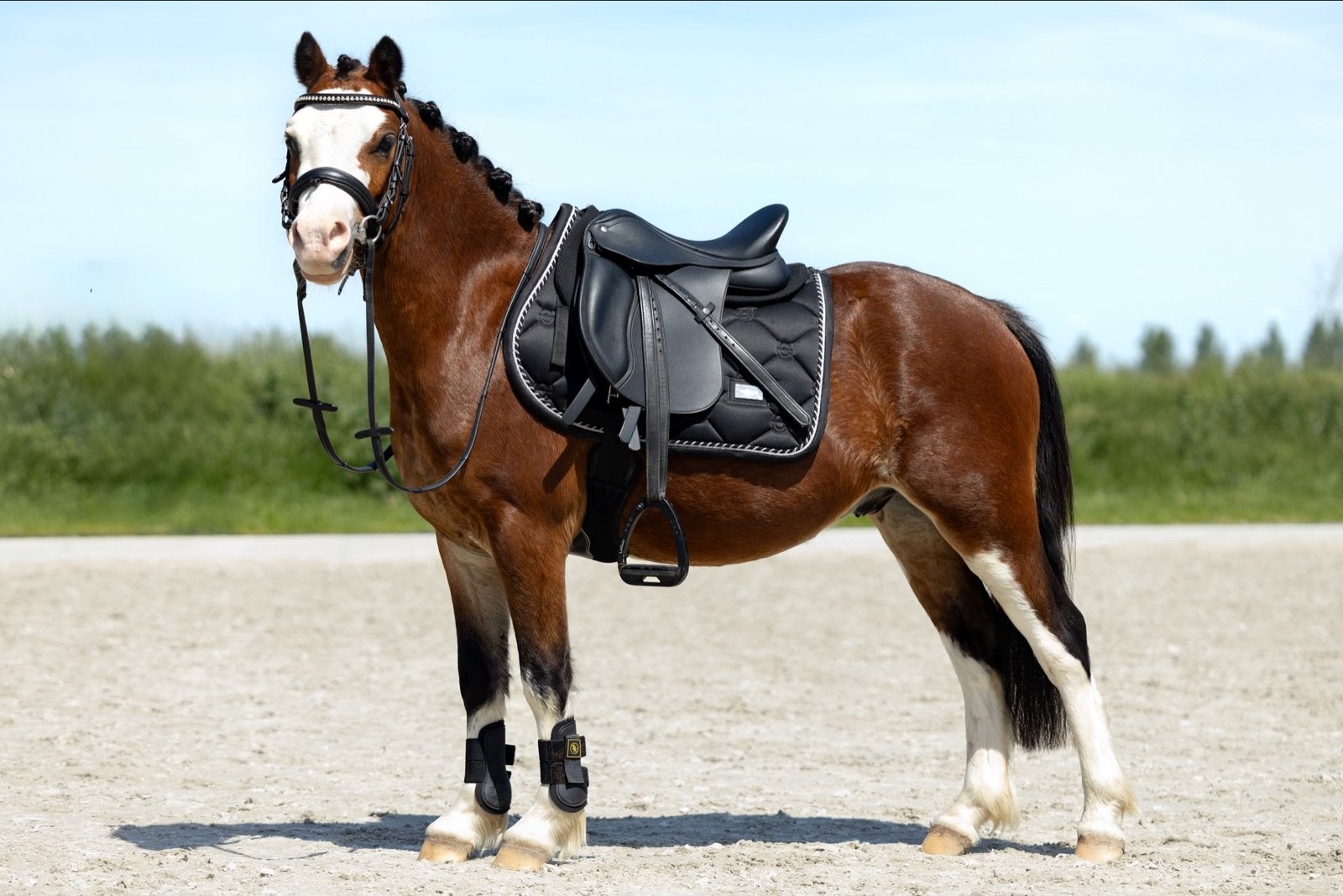 Vinkenhof Hero – Welsh A-ruin | Echte kinderpony, Ruin, A pony (tot 1.17m), Met stamboom, 3 tot 6 jaar