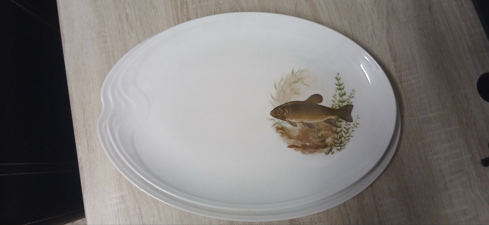 5 grote visborden, Verzenden, Zo goed als nieuw, Overige stijlen, Bord(en)