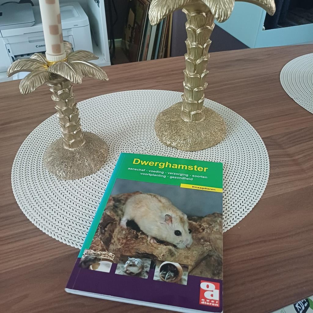 Boek: Dwerghamster - aanschaf, voeding, verzorging, Boeken, Ophalen of Verzenden, Gelezen