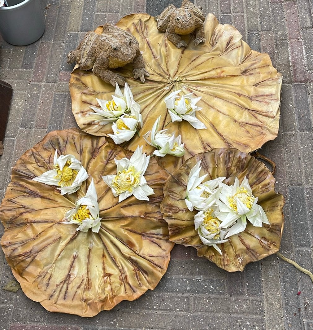 Leuke aankleding tuin, Ophalen, Gebruikt