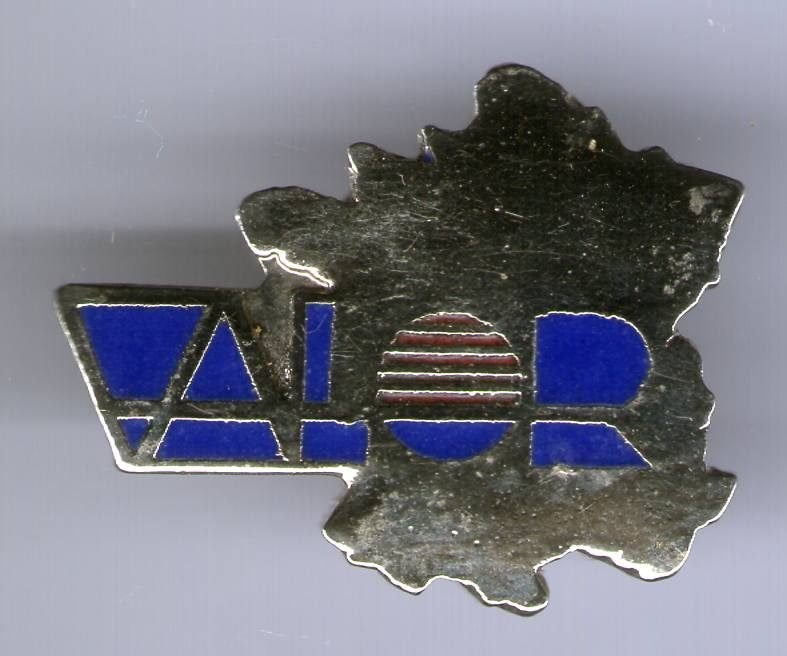 VALOR zilverkleurig PIN ( BLAD8_847), Verzenden, Zo goed als nieuw, Merk, Speldje of Pin