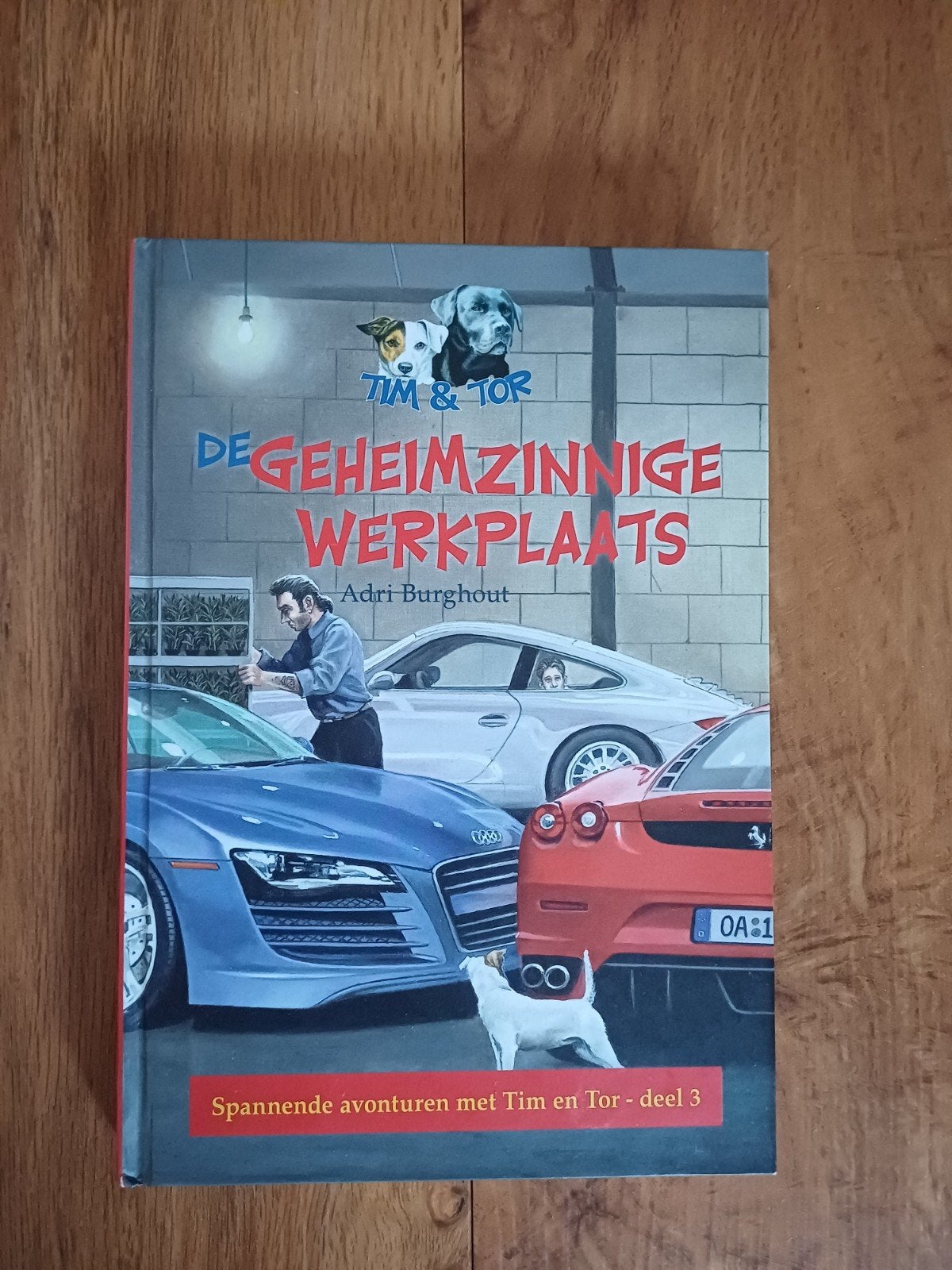 Adri Burghout - De geheimzinnige werkplaats. Nieuwstaat, Ophalen of Verzenden, Zo goed als nieuw, Adri Burghout