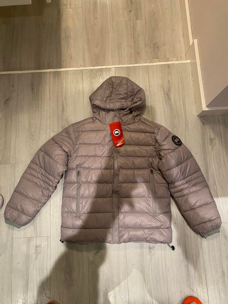 Nieuwe Canada Goose Jas - Maat L, Verzenden, Nieuw, Maat 52/54 (L), Grijs