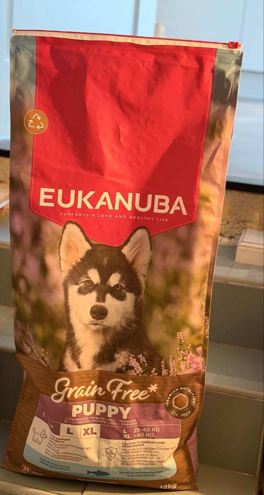 Eukanuba puppy brok L-XL, Ophalen of Verzenden, Hond