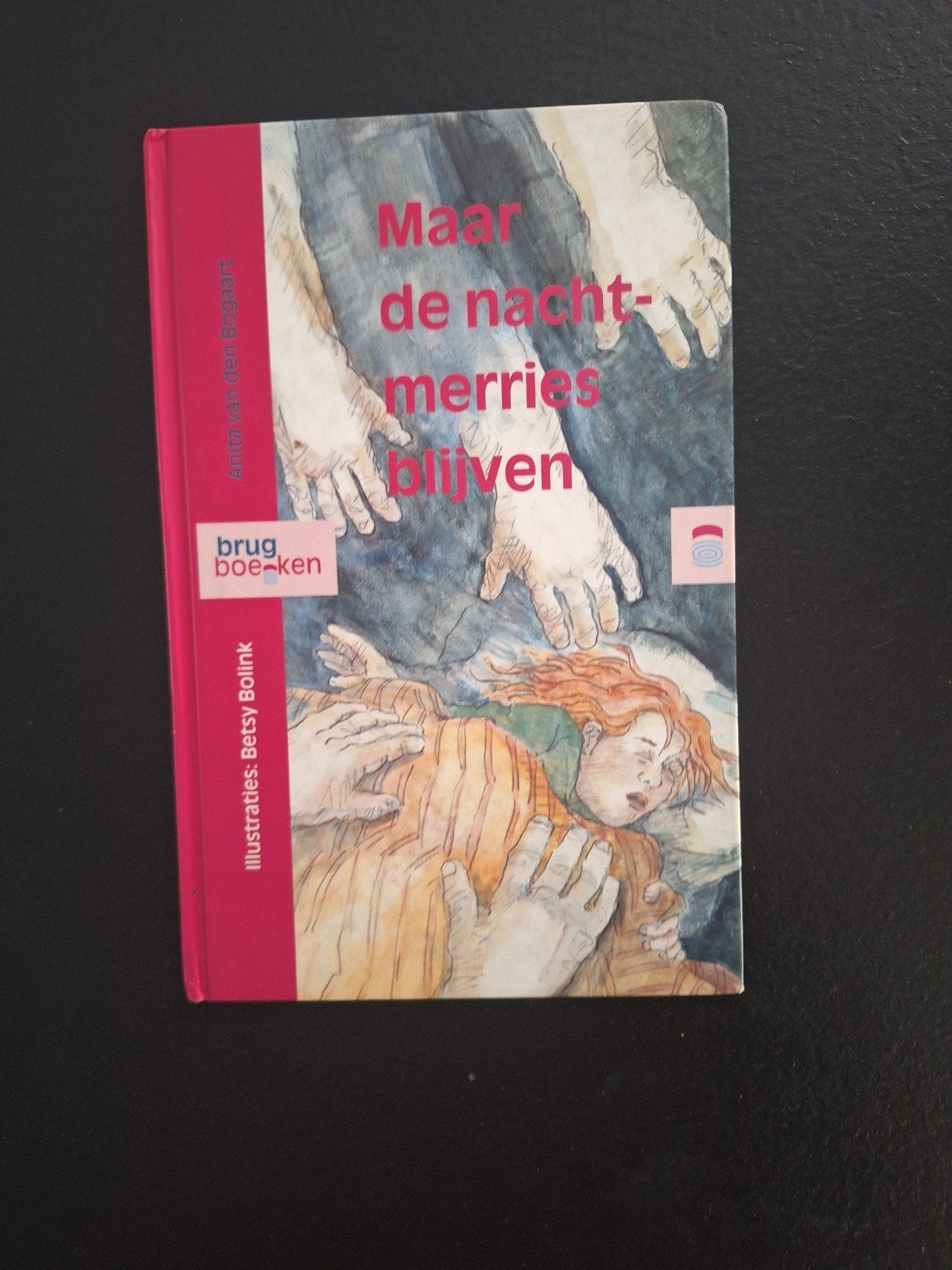 Maar de nachtmerries blijven - Anita van den Bogaart, Ophalen of Verzenden, Gelezen, Anita van den Bogaart, Fictie algemeen