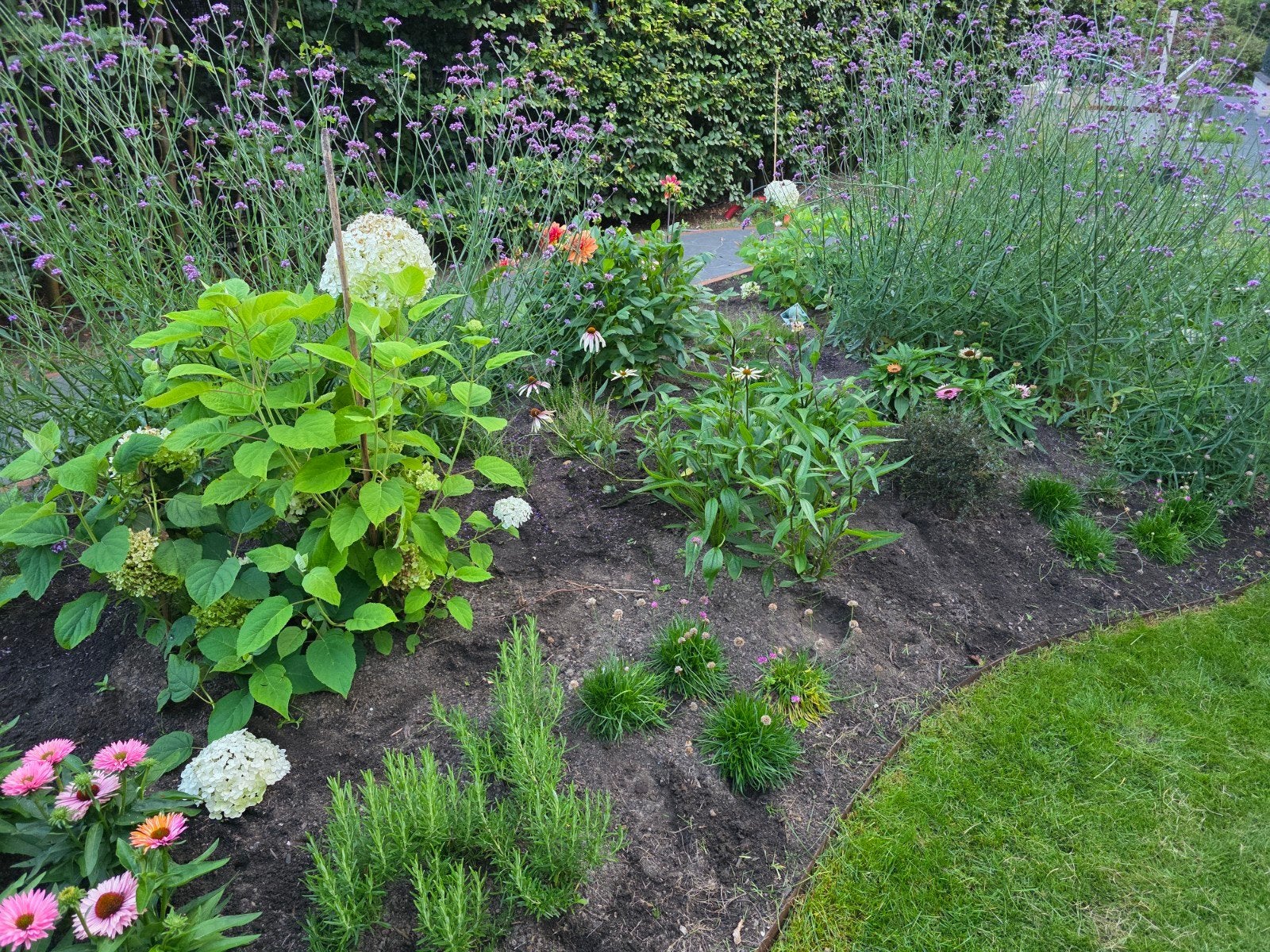 GEZOCHT Tuinman / Tuinonderhoud / Hovenier, Ophalen, Overige soorten, Struik