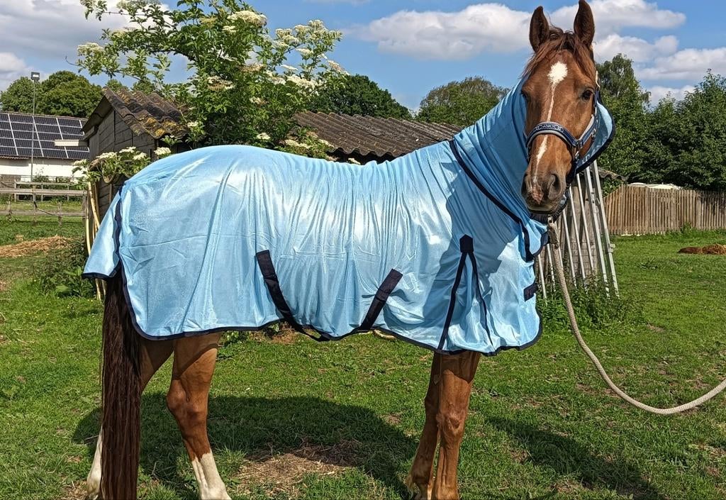 Nieuwe Blauwe Vliegendeken met vaste Hals Maat 195, Dieren en Toebehoren, Full (L), Overige merken, Vliegendeken, Nieuw