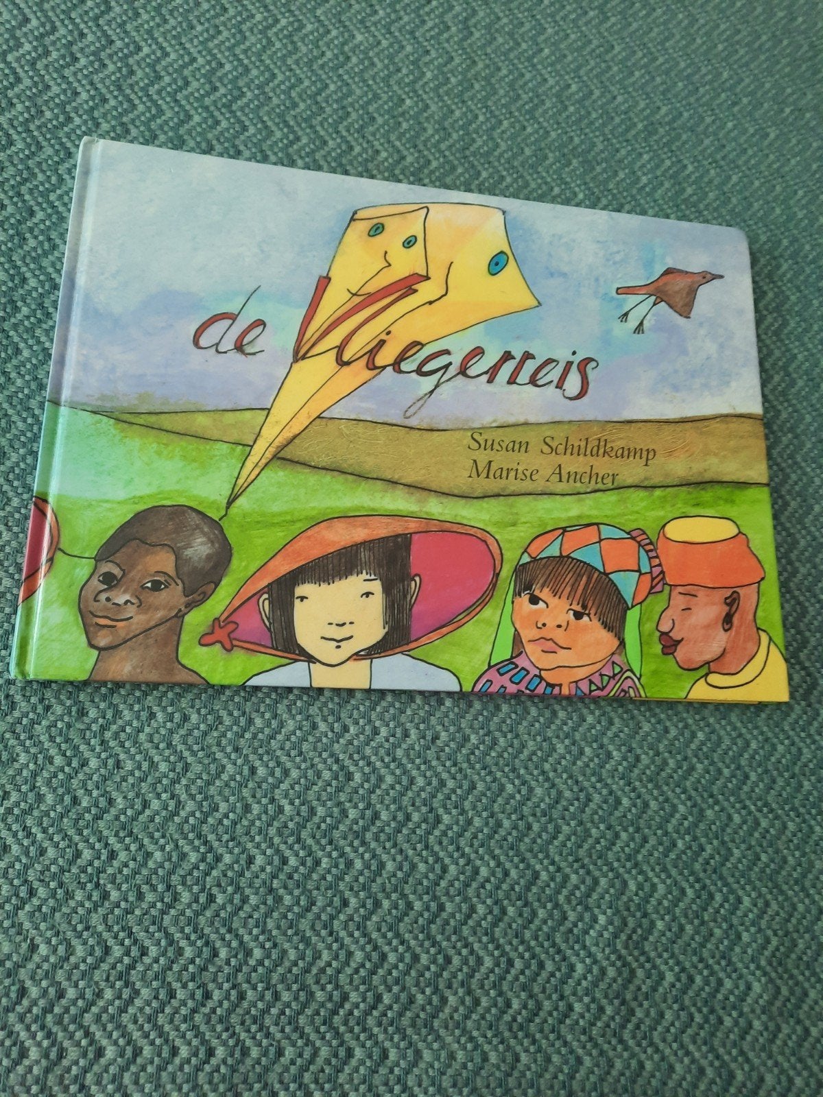 De Vliegenreis - Hardcover, kleurrijk prentenboek, Ophalen of Verzenden, Zo goed als nieuw, Susan Schildkamp, Marise Ancher