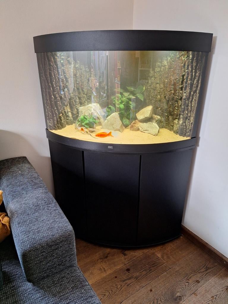 Juwel Trigon 190 led hoekaquarium met kast, Ophalen, Leeg aquarium