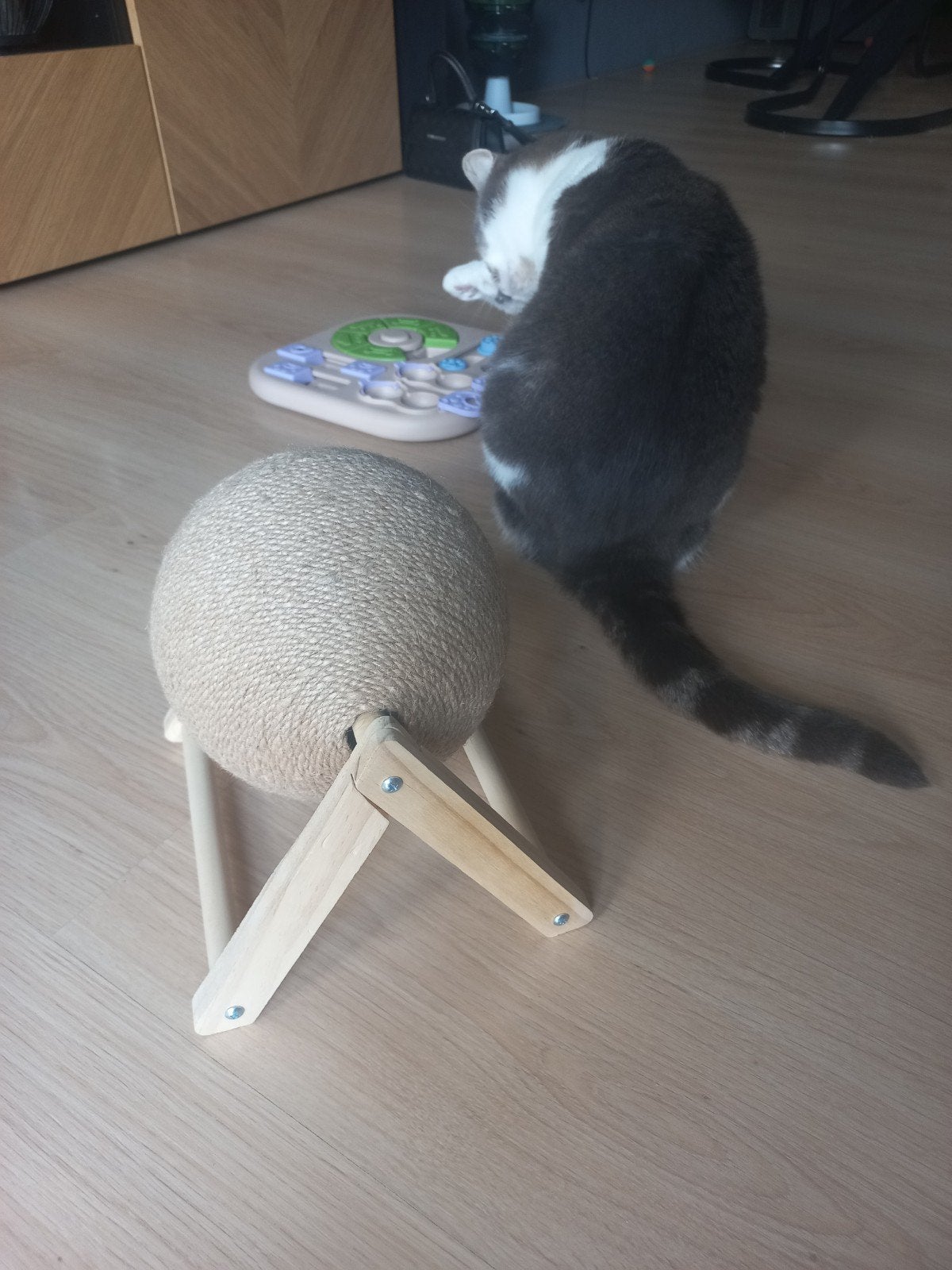 Krabbol voor kat, Ophalen of Verzenden