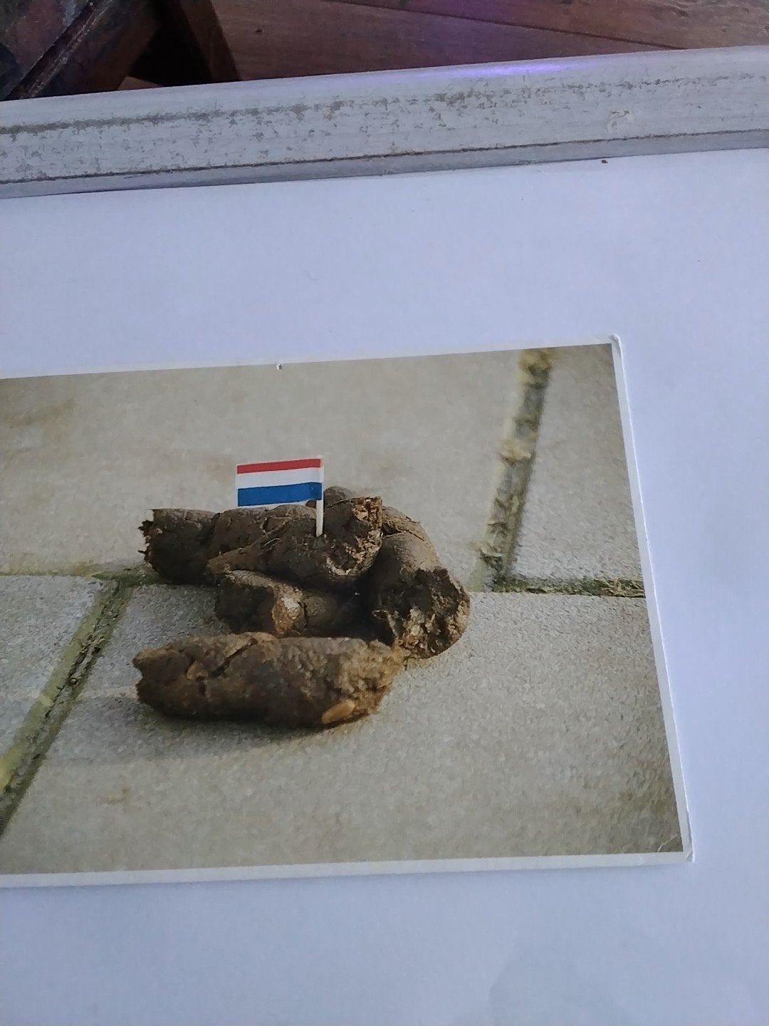 Dixie Solleveld 1984 - Amsterdam shit city, Ophalen of Verzenden