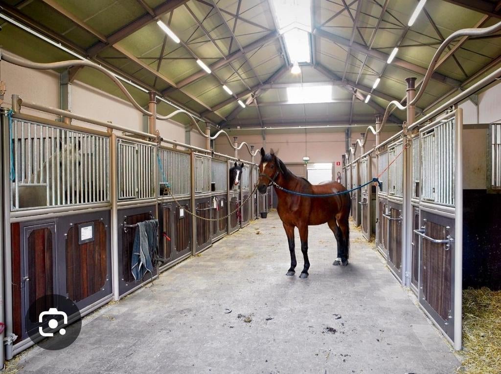 Stalling gezocht, Dieren en Toebehoren, Stalling en Weidegang, Stalling, 1 paard of pony