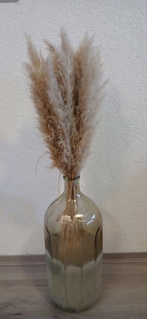 Grote vaas met pluimen, Ophalen, Overige kleuren, Minder dan 50 cm, Glas
