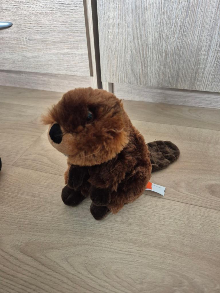 Bever knuffel, Ophalen of Verzenden, Zo goed als nieuw, Overige typen