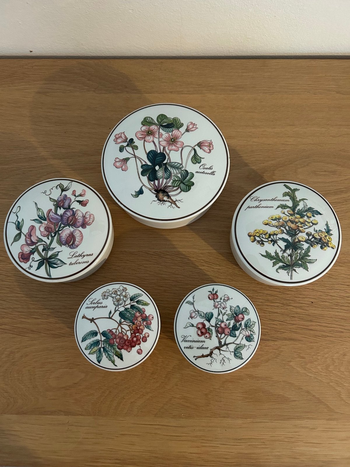 Set van 5 Villeroy & Boch Botanica kruidenpotjes, Ophalen of Verzenden