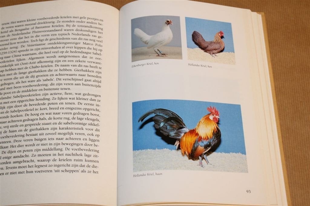 Kippen in Nederland [1997] — Ras & Verzorging, Boeken, Ophalen of Verzenden, Gelezen, Vogels