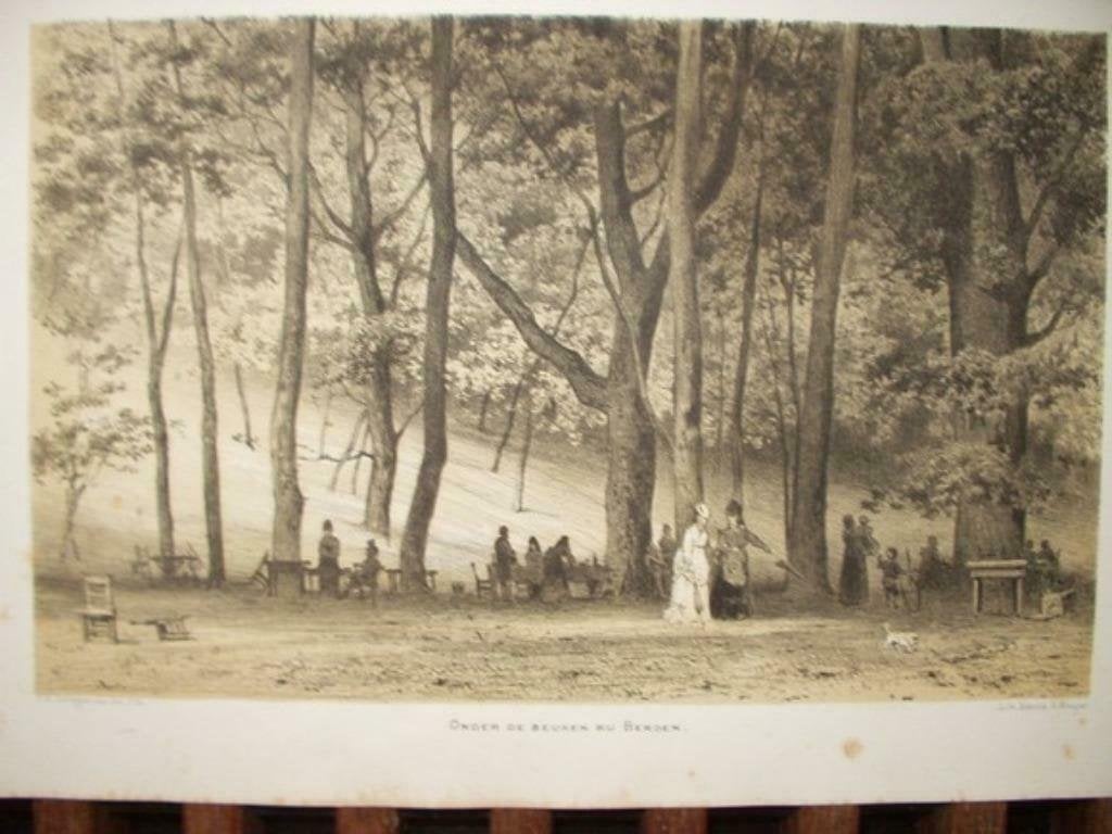 55 / Bergen Onder de Beuken bij Bergen Litho 1876, Antiek en Kunst, Ophalen of Verzenden