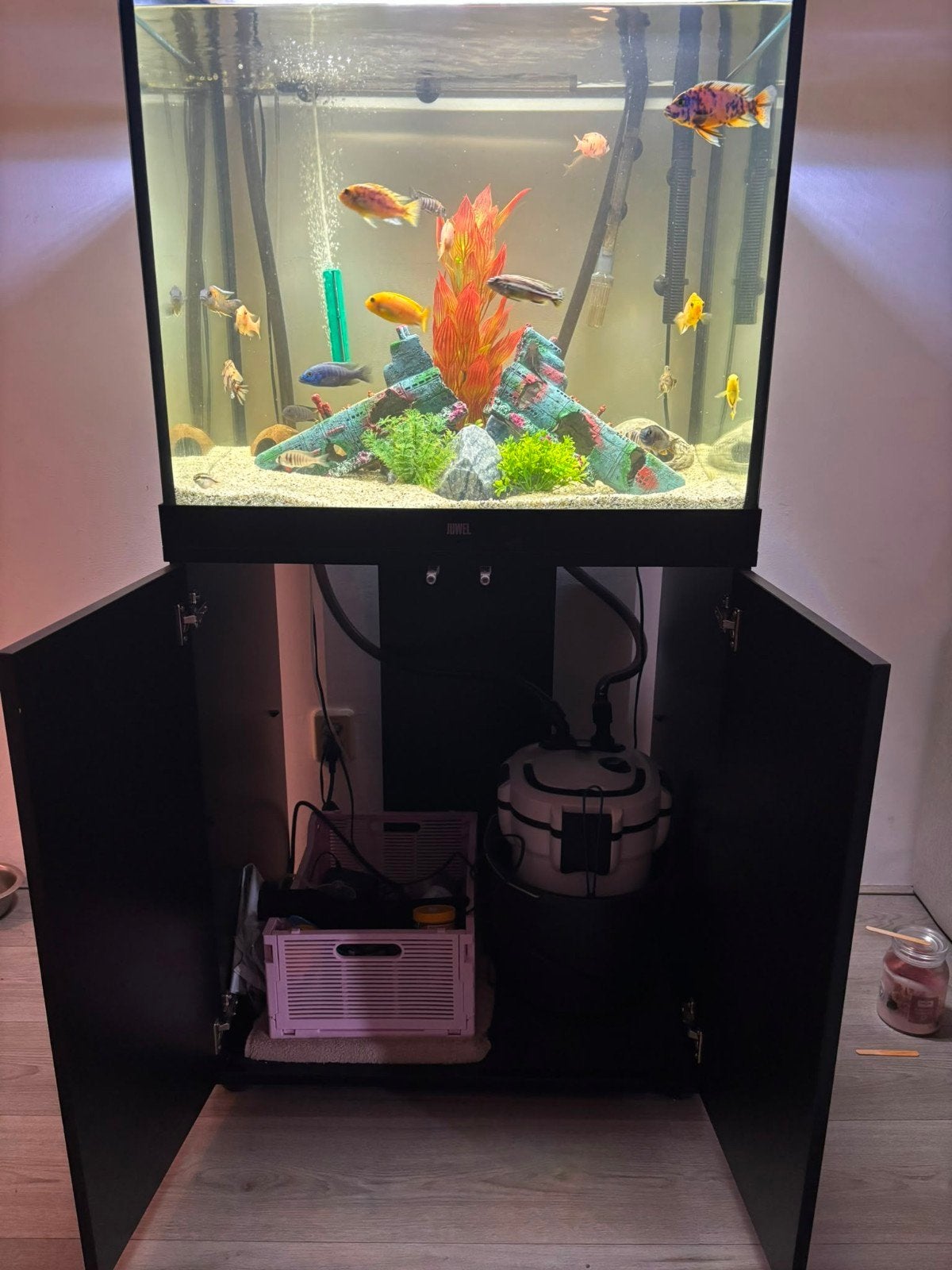 aquarium inclusief alles malawi ceclides ,meervallen, Ophalen of Verzenden, Zo goed als nieuw