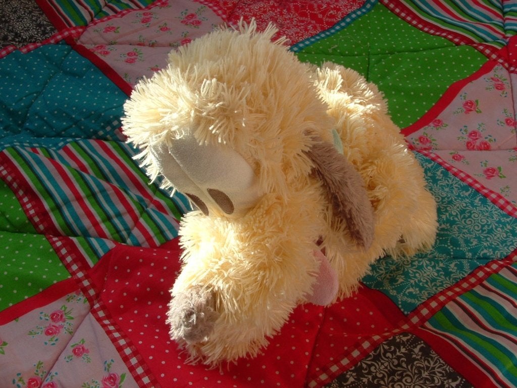 DISNEYLAND RESORT PARIS DISNEY HOND PLUTO PLUCHE LANGHARIG, Ophalen of Verzenden, Nieuw, Overige typen
