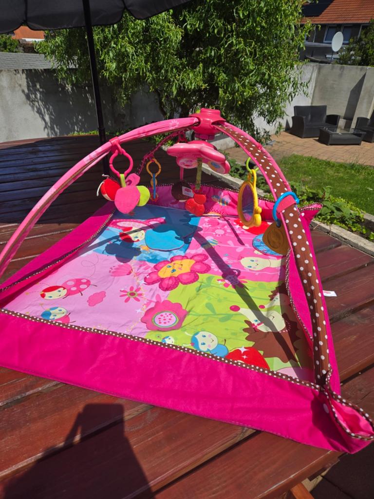 TINY LOVE  babygym en speeltjes, Kinderen en Baby's, Speelgoed | Babyspeelgoed, Ophalen of Verzenden, Gebruikt, Speelkleed