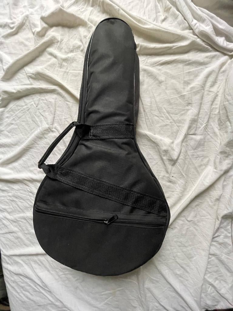 Mandolin brazilian 10 string mandolin Hamilton De Holanda, Muziek en Instrumenten, Snaarinstrumenten | Mandolines, Ophalen, Zo goed als nieuw