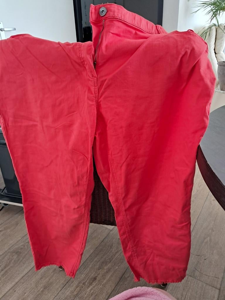 Samoon pantalon, Kleding | Dames, Ophalen of Verzenden, Zo goed als nieuw, Rood, Lang