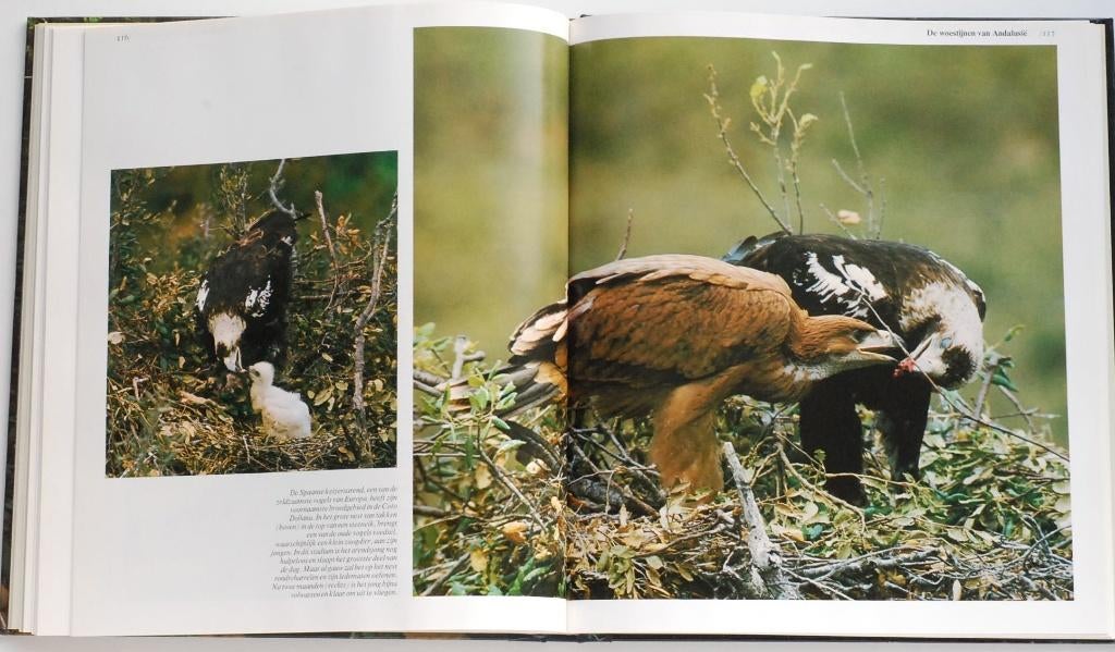 Ongerepte gebieden in Europa - Time-Life (1982), Boeken, Verzenden, Zo goed als nieuw, Natuur algemeen