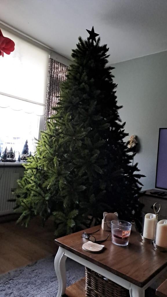 Kerstboom te koop, Diversen, Kerst, Ophalen