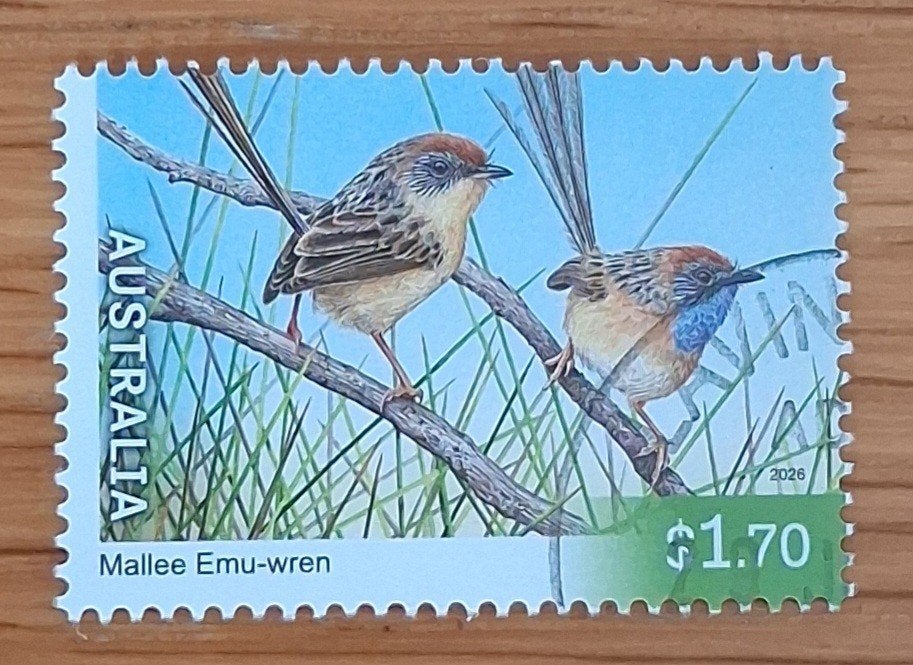 AUSTRALIË 2026:ENDANGERED BIRDS
