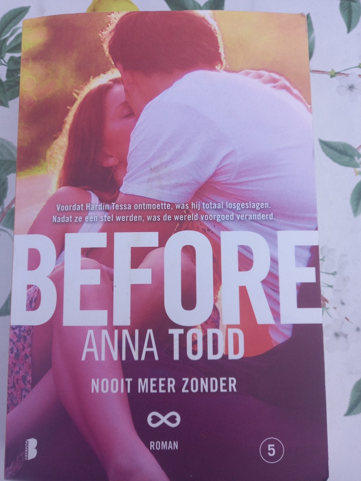 M9 Anna Todd - Before, Gelezen, Ophalen of Verzenden, Nederland, Anna Todd
