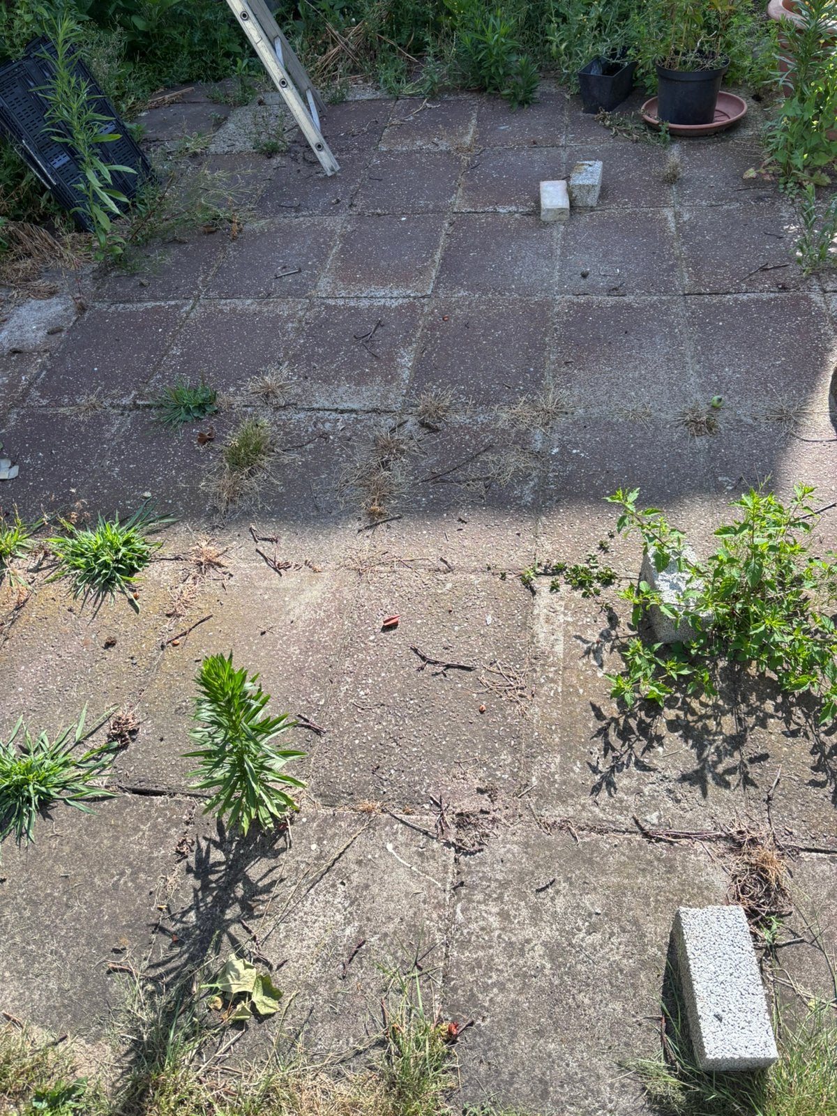 Gratis grindtegels, Tuin en Terras, Ophalen, Gebruikt, Beton