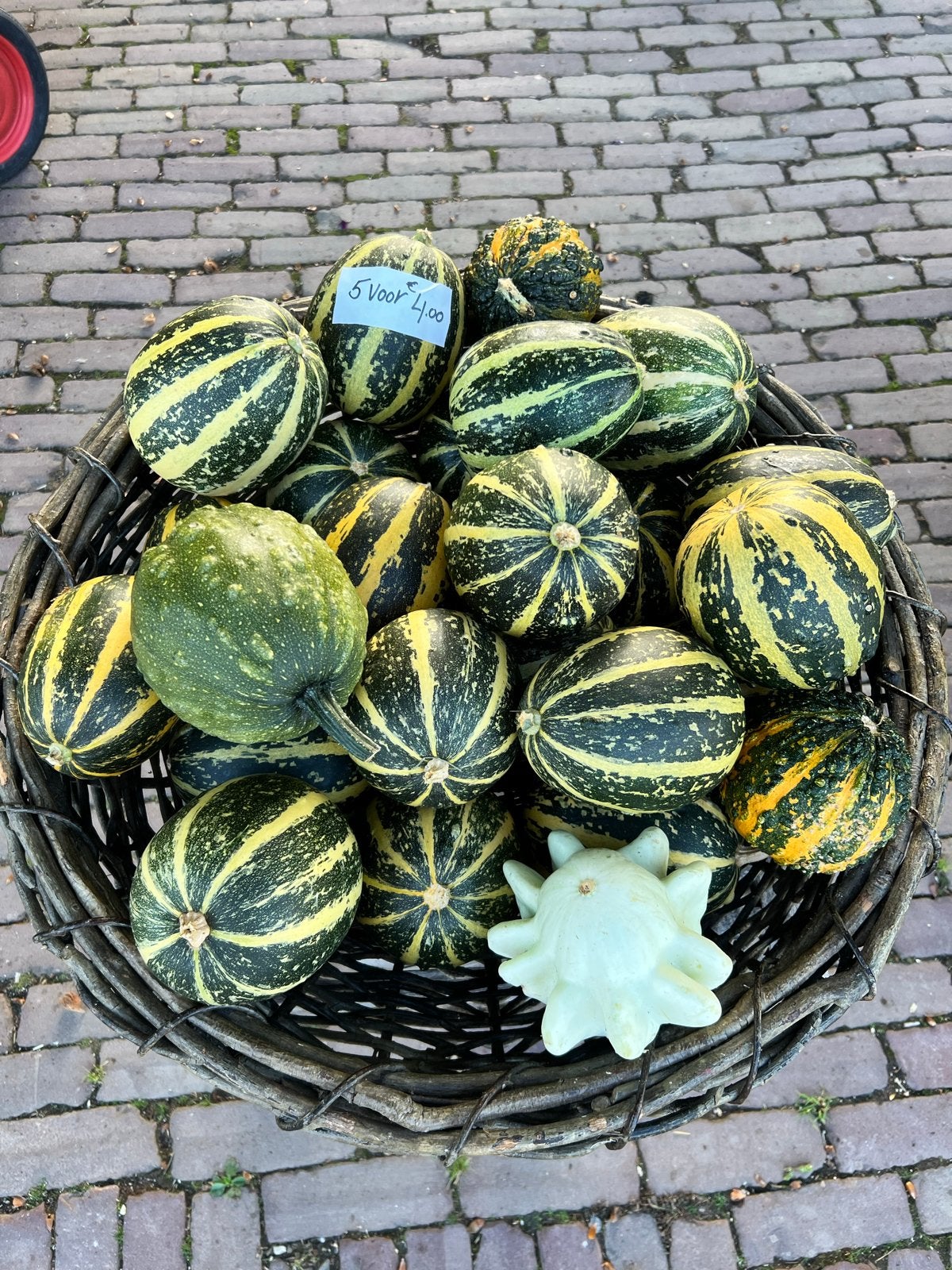 Verse Kalebassen - Decoratief en Uniek, Tuin en Terras, Ophalen, Volle zon, Groenteplanten, Eenjarig