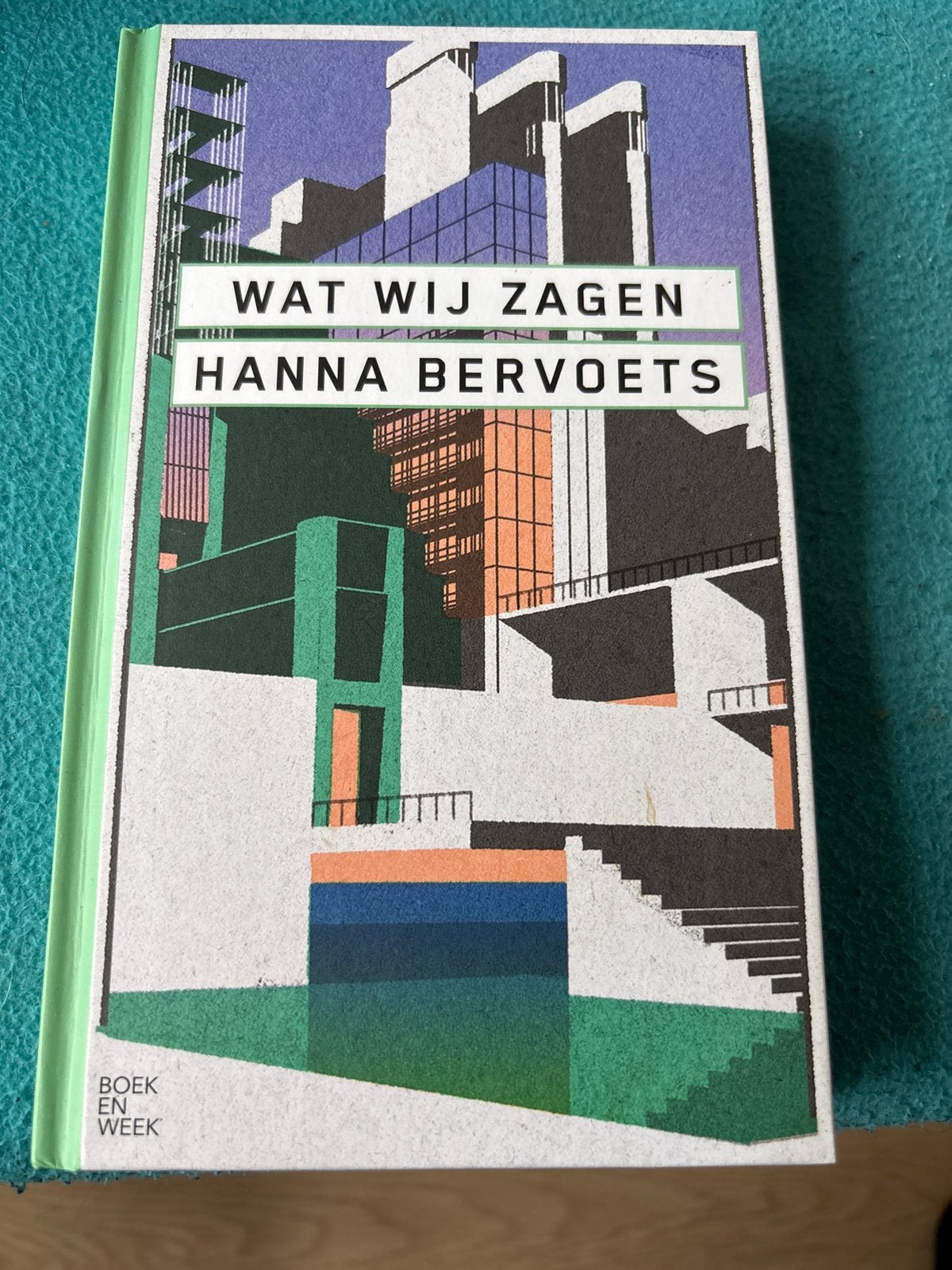 Wat Wij Zagen - Hanna Bervoets (Boek en Week), Ophalen of Verzenden, Zo goed als nieuw, Nederland