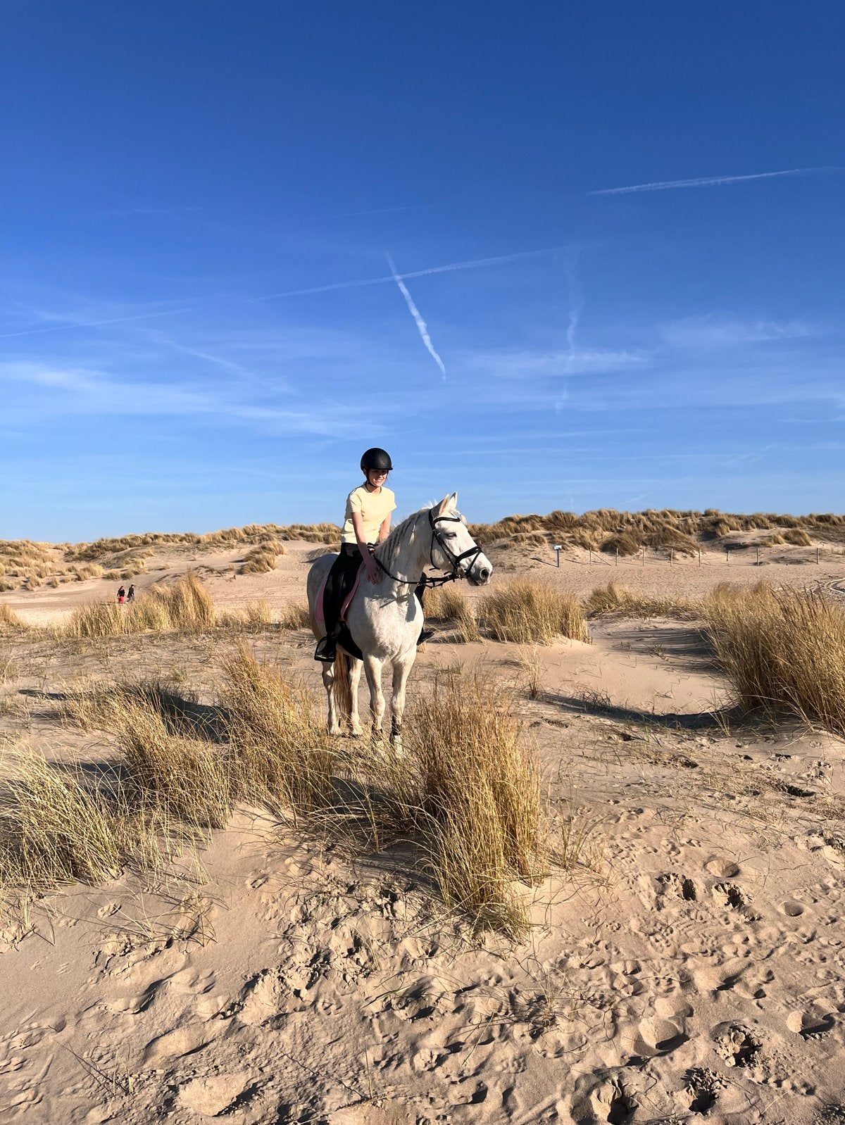 Leuke verzorgpony gezocht, Dieren en Toebehoren, Ophalen of Verzenden, Nieuw