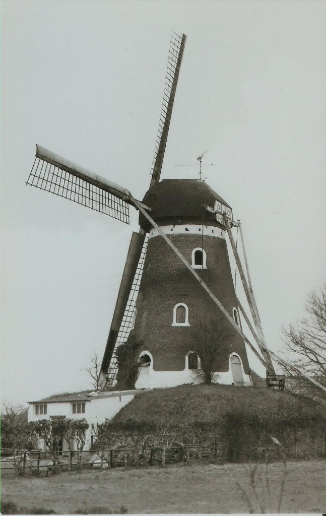 Bavel molen De Hoop 1977, Ophalen of Verzenden, 1960 tot 1980, Ongelopen, Noord-Brabant