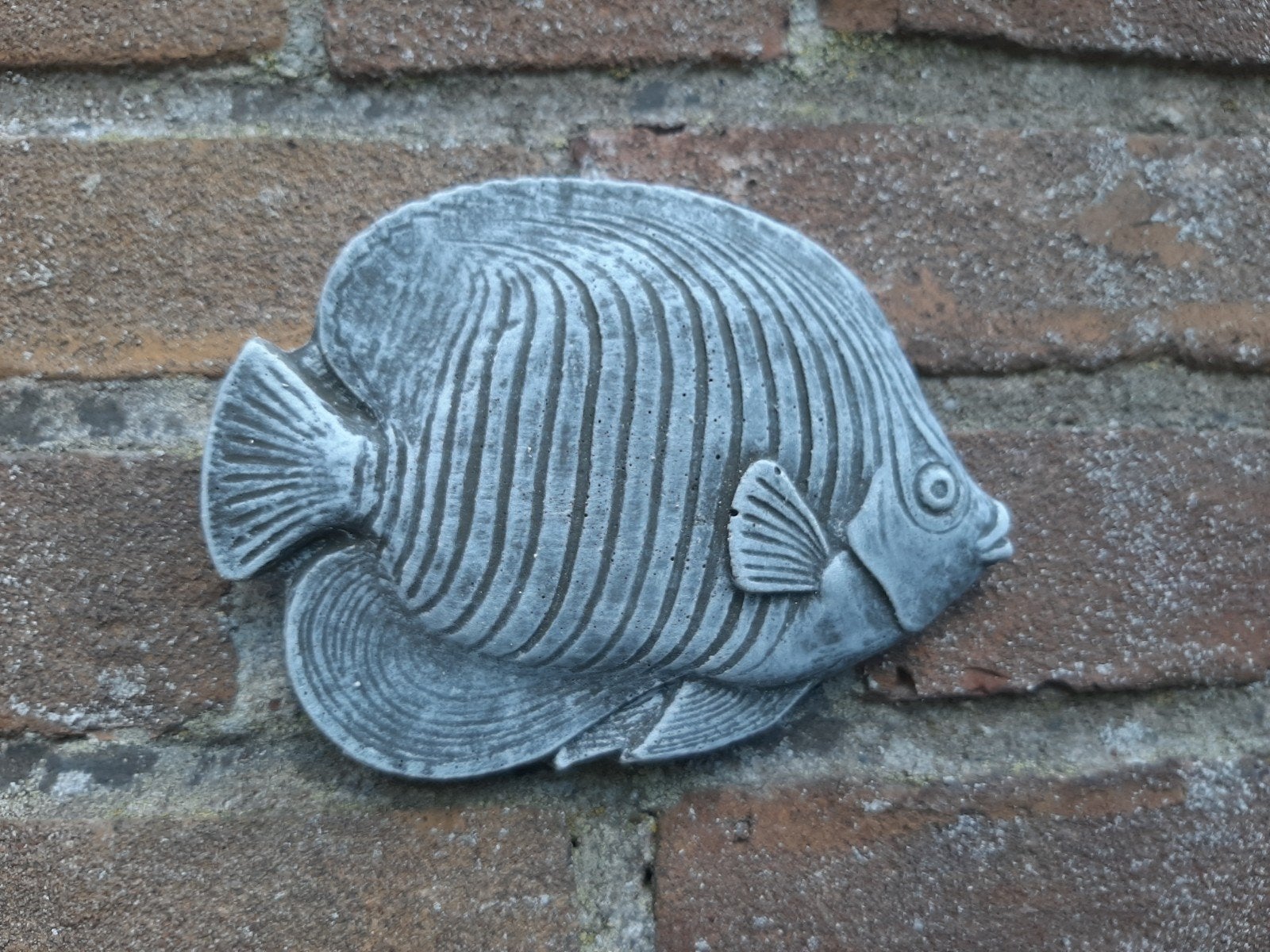 Vis wanddecoratie betonnen beeld tuinbeeld beton visje, Ophalen of Verzenden