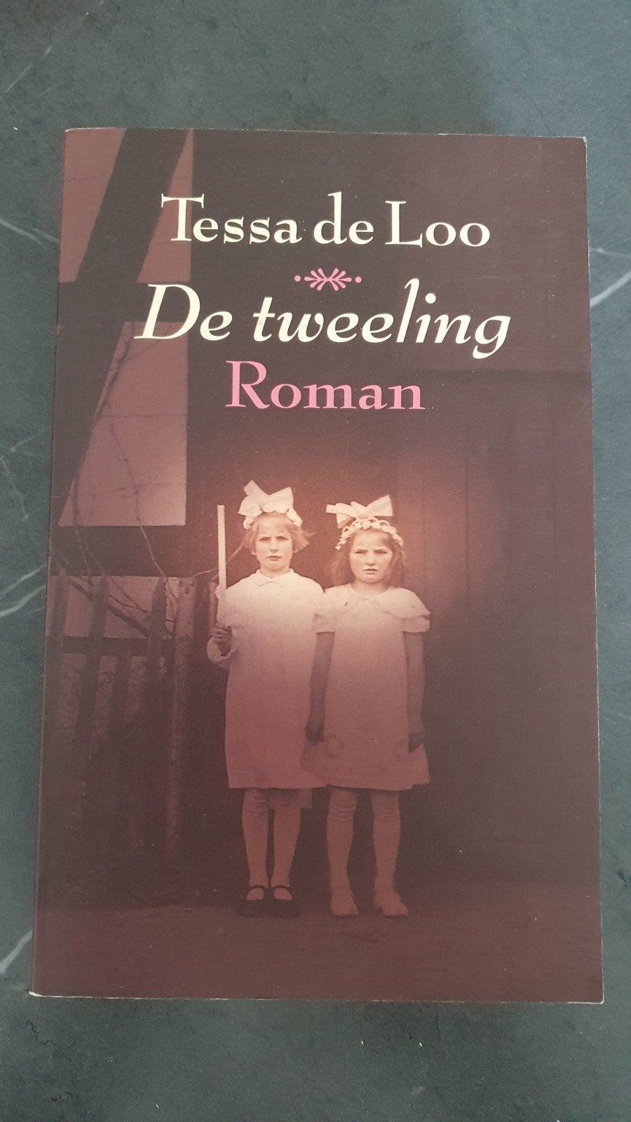De Tweeling - Tessa de Loo (Roman), Boeken, Verzenden, Gelezen, Tessa de Loo, Nederland