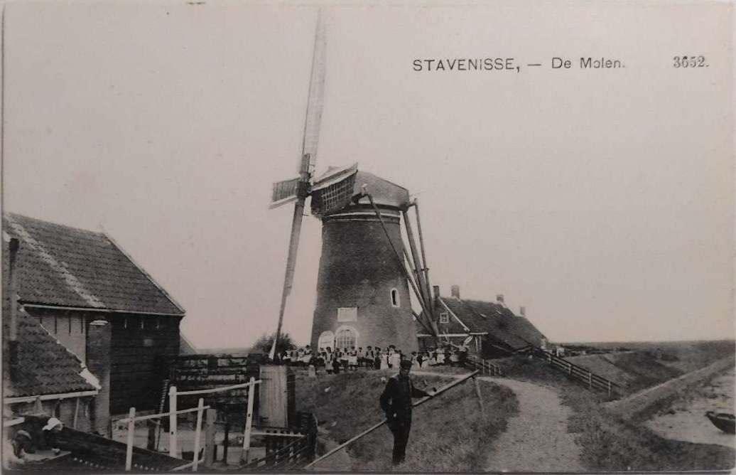 De Molen Stavenisse Zeeland (Tholen) – ca. 1915, Ophalen of Verzenden, Voor 1920, Ongelopen, Zeeland