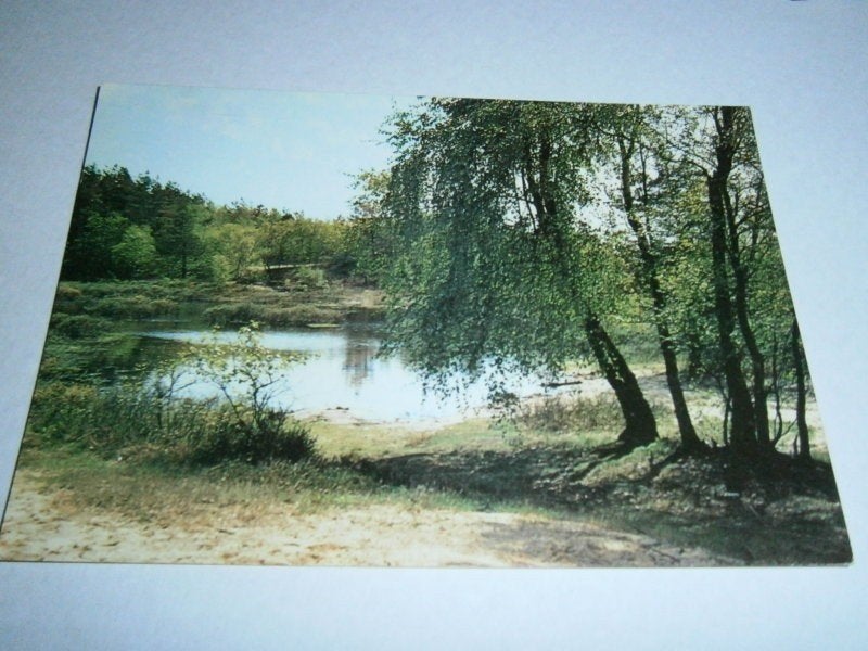 Overijssel - partij, verzameling, Ophalen of Verzenden, 1940 tot 1960, Overijssel