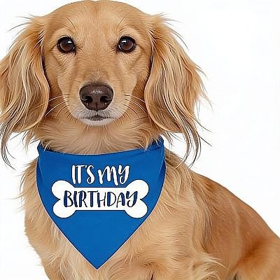 Honden bandana It’s my Birthday in diverse kleuren