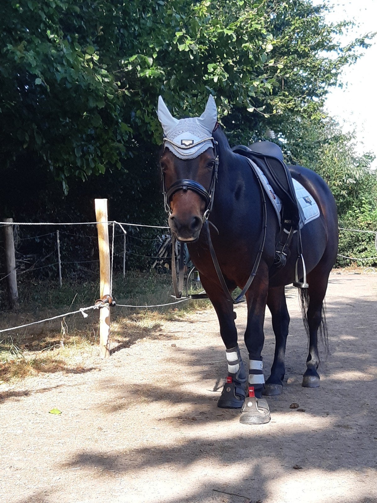 super leuk lemieux loire mist setje pony!!, Ophalen of Verzenden